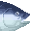 Bluefin Tuna Chutoro