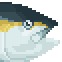 Yellowfin Tuna Akami