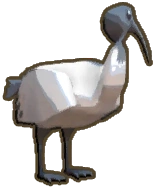 Bin Chook