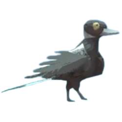 Magpie