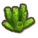 Green Tube Coral