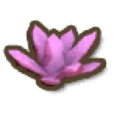 Pink Coral
