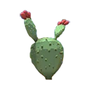 Prickly Pear