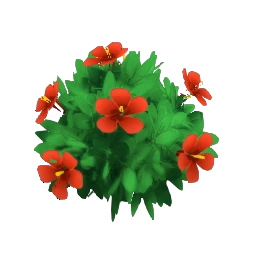 Red Hibiscus