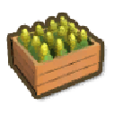 Corn Box