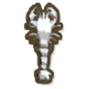 White Yabbie