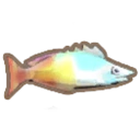 Rainbow Fish