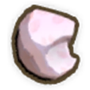 Nautilus Shell