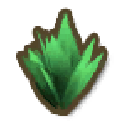 Seaweed