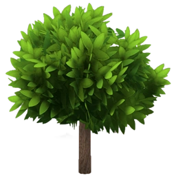 Small Lilly Pilly