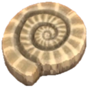 Fossil